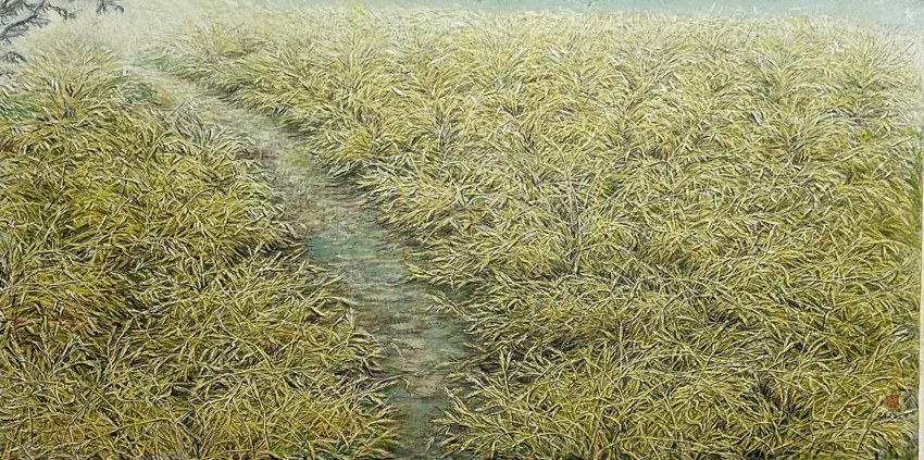 A narrow passage of water runs through fine layers of grasses, drawing the eye into the distance.