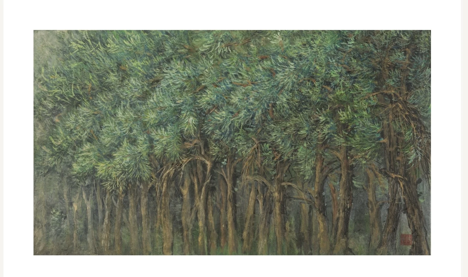 Slender trunks and layered foliage create a green woodland with a quiet sense of depth.