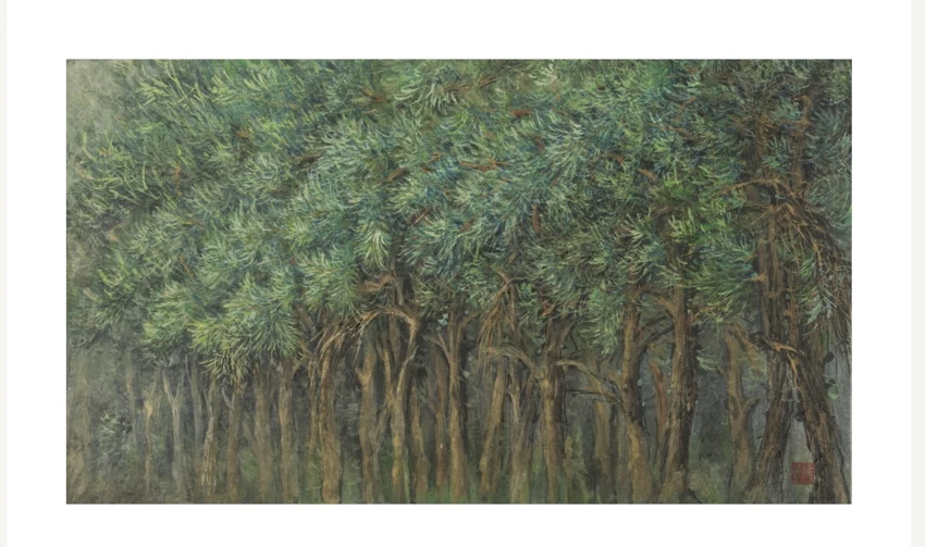 Slender trunks and layered foliage create a green woodland with a quiet sense of depth.